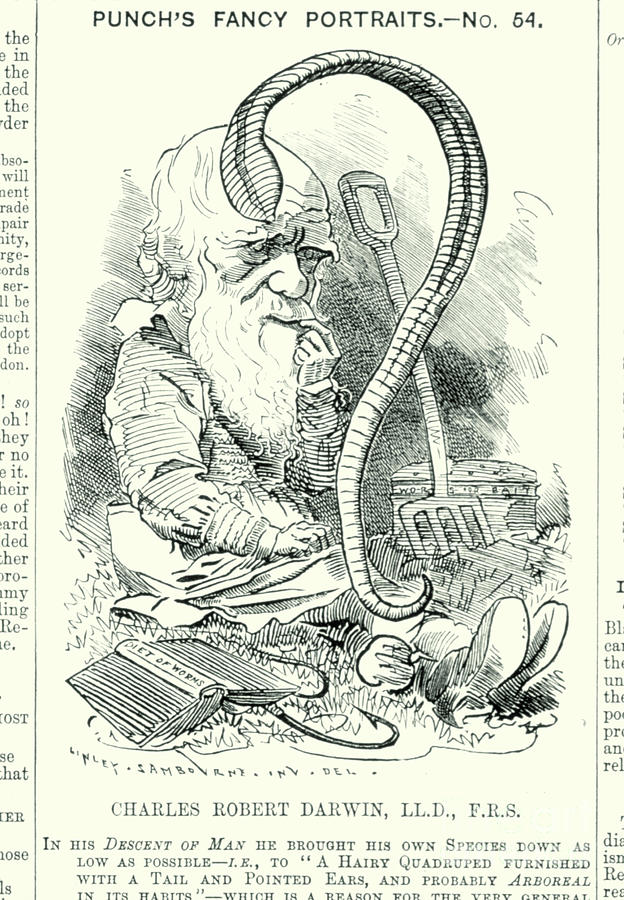 Caricature Of Charles Darwin Photograph by George Bernard/science Photo Library