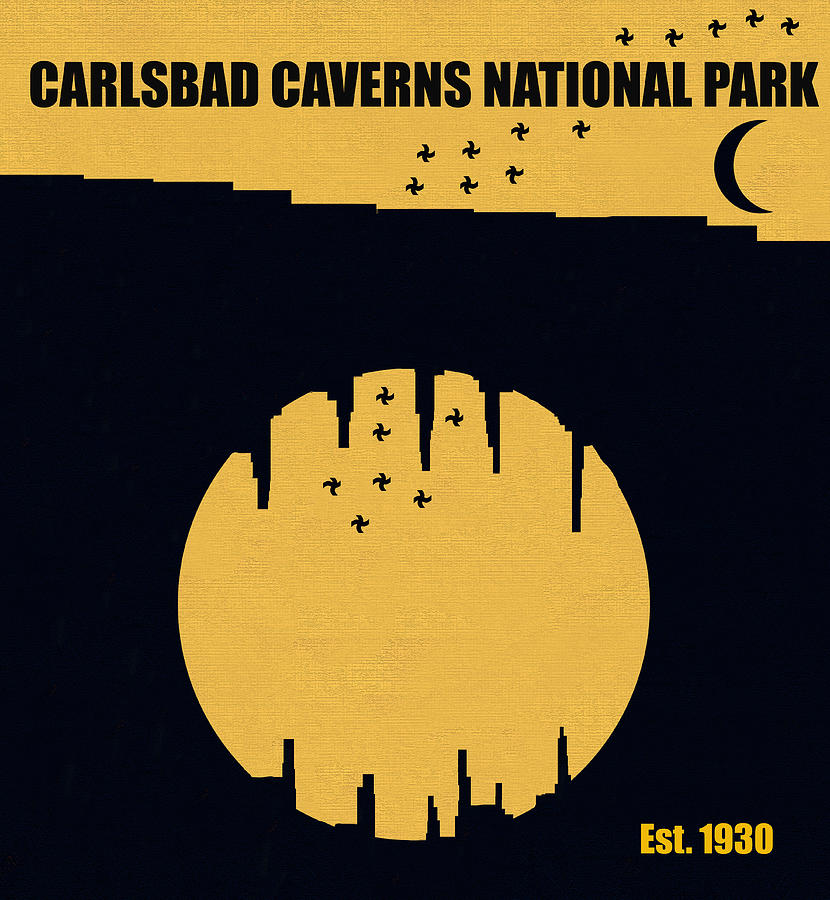 Carlsbad Caverns N. P. M series Mixed Media by David Lee Thompson