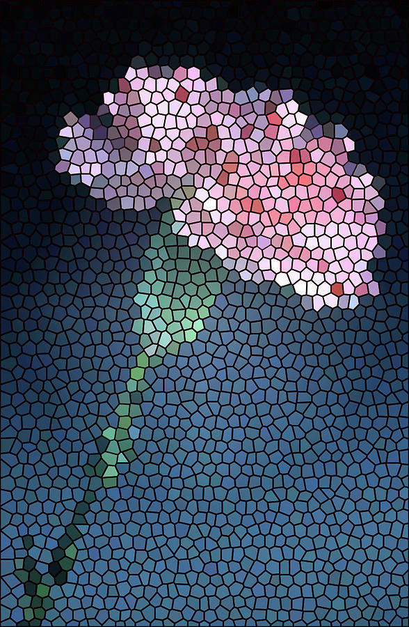 Carnation 2 by Rich Killion Carnation 2 by Rich Killion