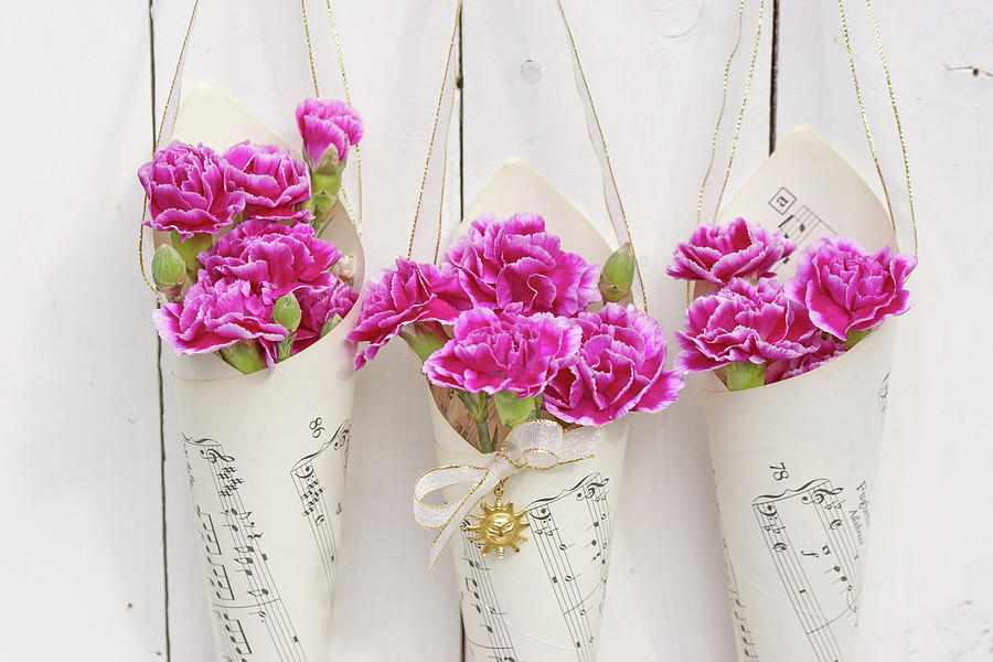 Carnations In Paper Cone Bags Photograph by Angelica Linnhoff