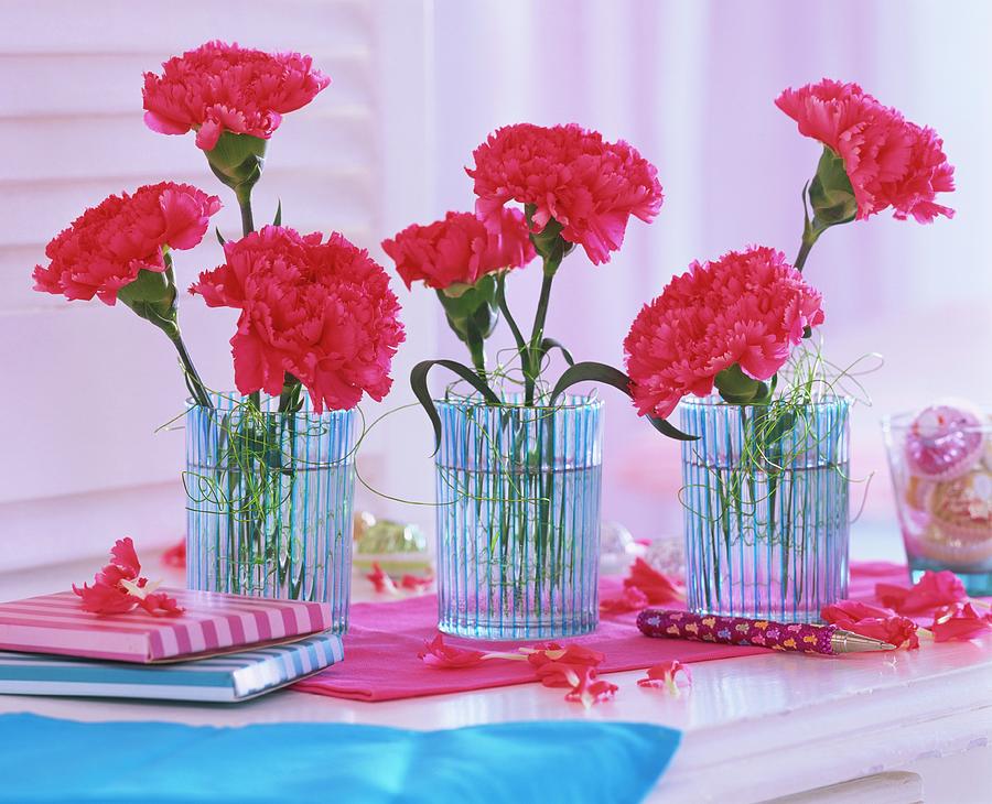 Carnations In Three Glasses, Books And A Pen Photograph by Friedrich Strauss