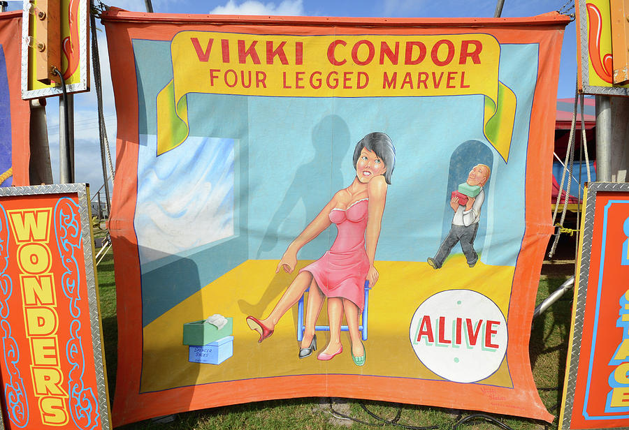 Carnival art Vickki Condor Photograph by David Lee Thompson