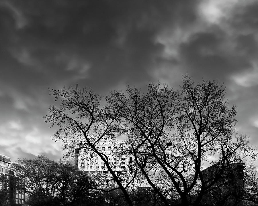 Carnival Of Souls (squirrel Nest) Photograph by Geoffrey Ansel Agrons ...