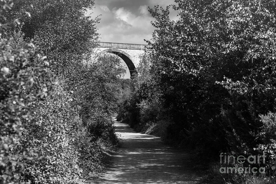 Carnon Valley by Brian Roscorla Carnon Valley by Brian Roscorla