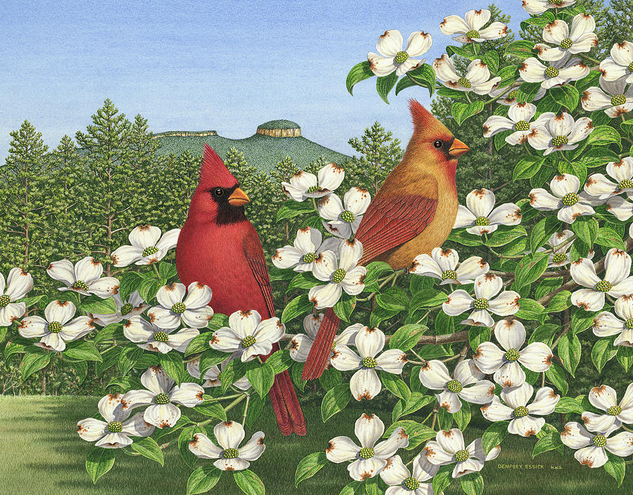 Cardinal Painting - Carolina Calling by Dempsey Essick