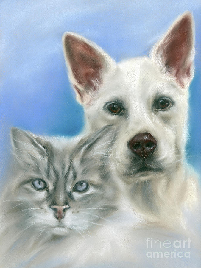 Carolina Dog and Longhaired Gray Cat by MM Anderson Carolina Dog and Longhaired Gray Cat by MM Anderson