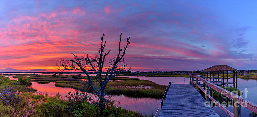 Carolina Hues1 by DJA Images Carolina Hues1 by DJA Images