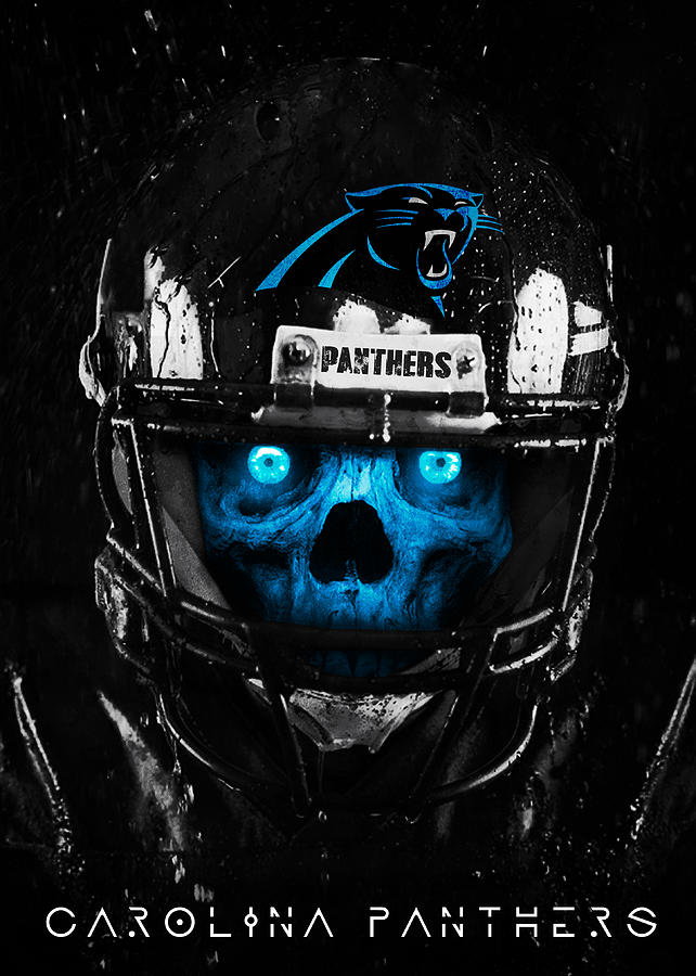 carolina panthers painting