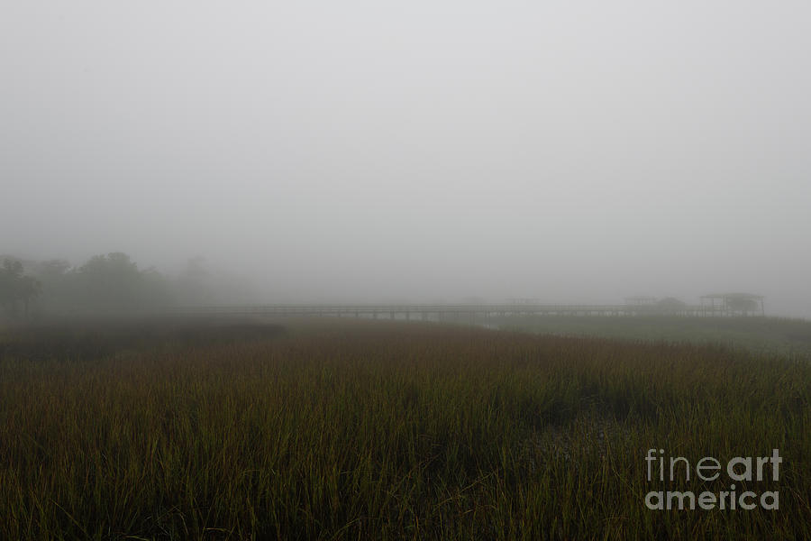 Carolina Rain and Fog Photograph by Dale Powell