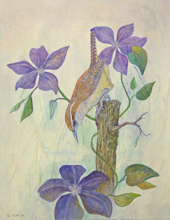 Carolina Wren and Clematis Mixed Media by Sandy Clift
