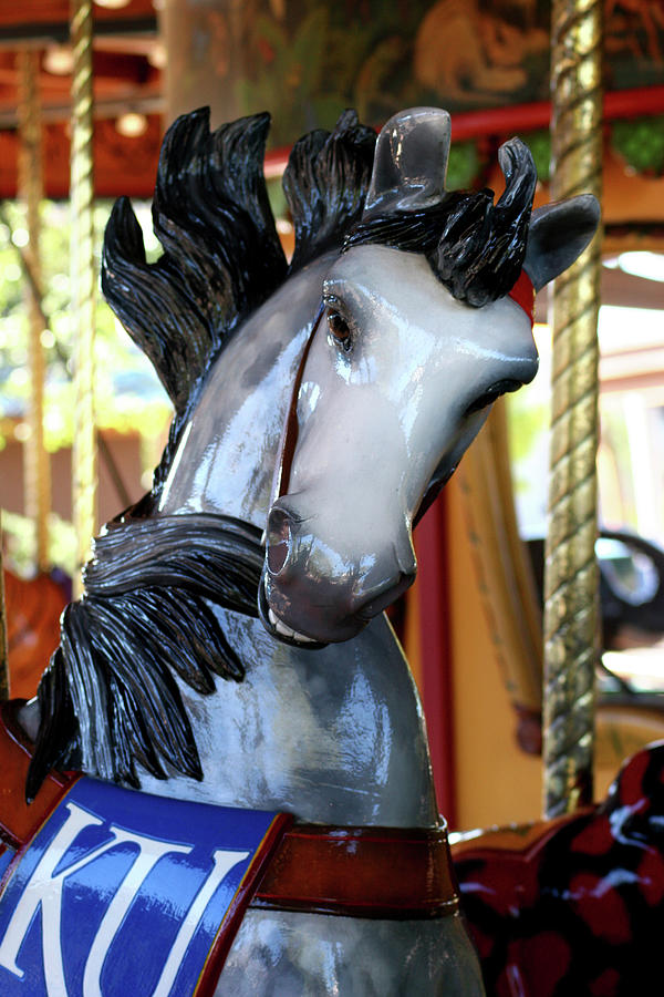 Carousel Horse Portrait Photograph by Steve Karol