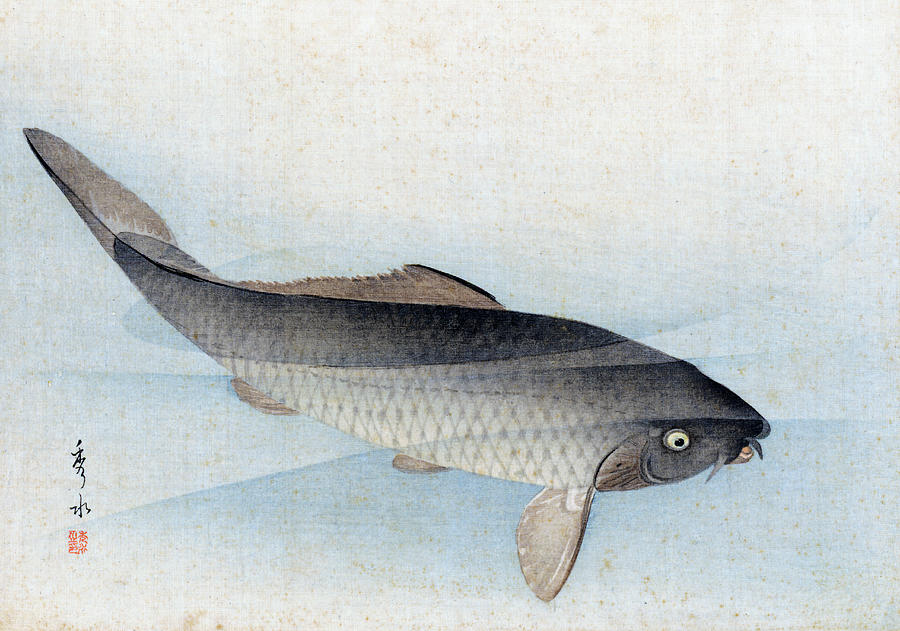 Fish Painting - Carp by Shusei
