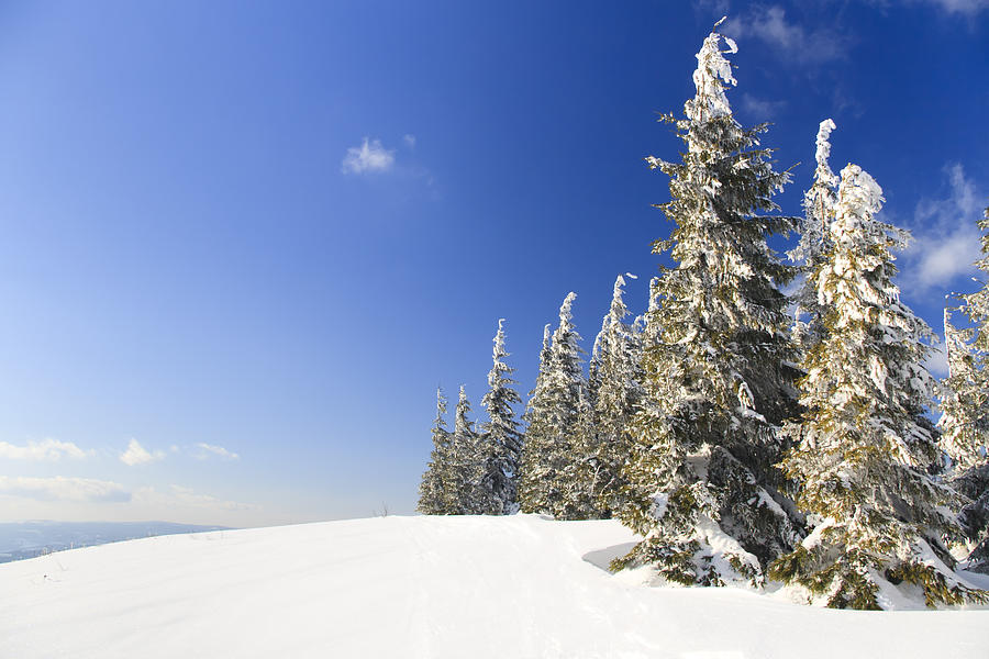 Carpathians. Mountains Cowered With Snow Photograph by Verybigalex