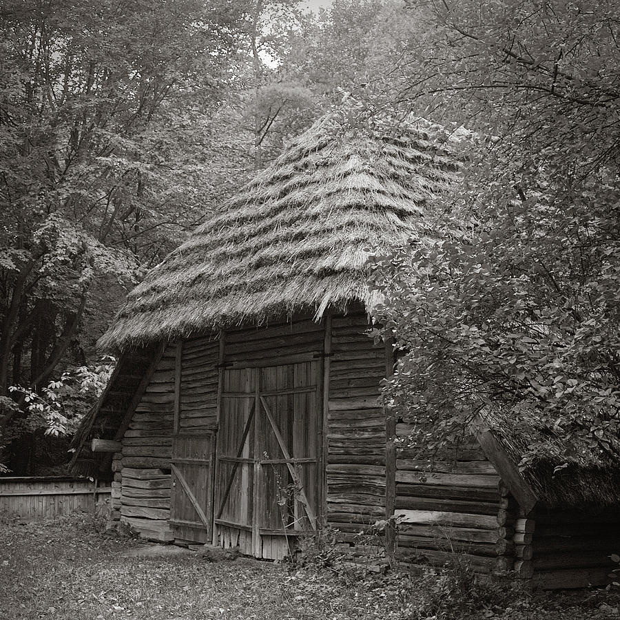 Carpathians remote. Lviv, 2011. by Andriy Maykovskyi Carpathians remote. Lviv, 2011. by Andriy Maykovskyi