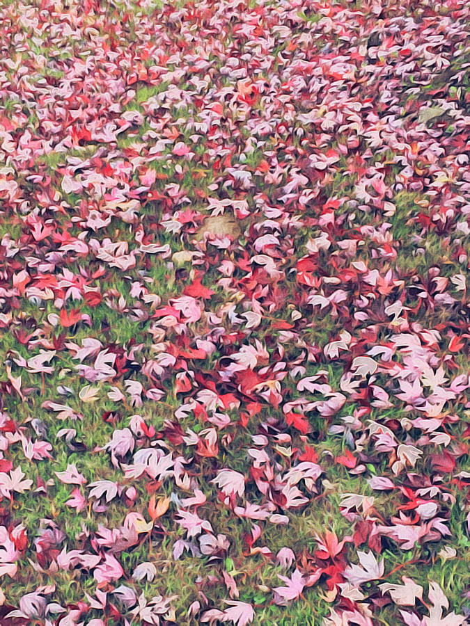 Carpet of red leaves Digital Art by Life Makes Art
