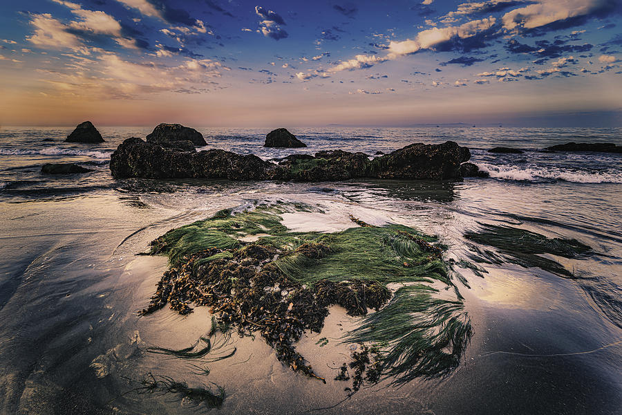 Landscape Photograph - Carpinteria Beach Sunrise by Bill Boehm