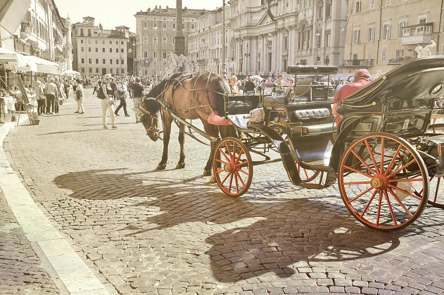 Horse Photograph - Carriage And Cobblestone by JAMART Photography
