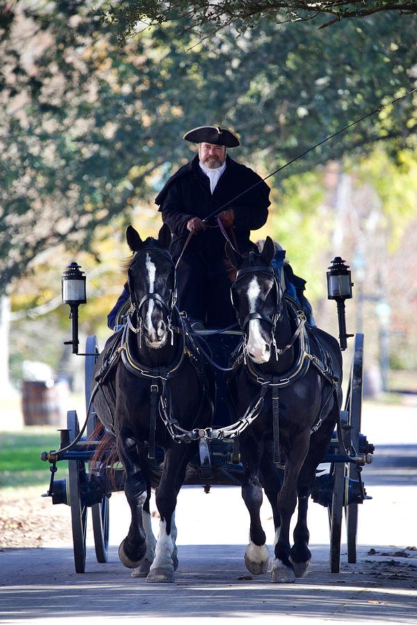 Carriage Horses and Coachman  Photograph by Rachel Morrison