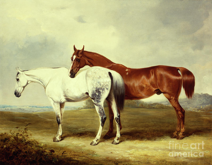 Carriage Horses At Pasture, 1850 Painting by Henry Calvert - Fine Art ...