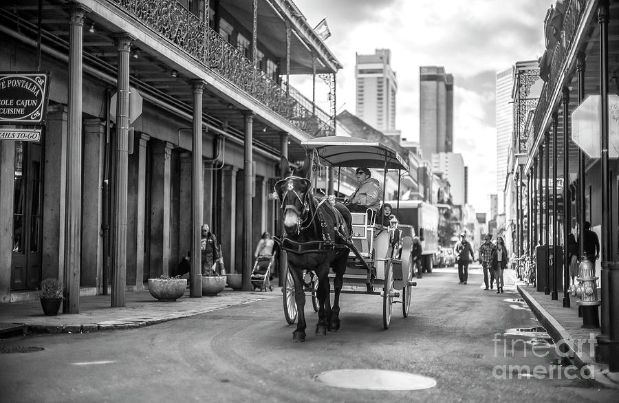 Carriage on Chartres Street New Orleans Photograph by John Rizzuto
