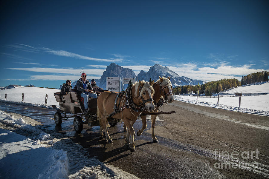 Carriage Ride Photograph by Eva Lechner