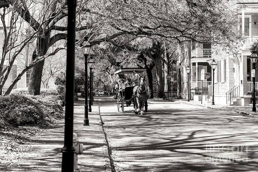 Carriage Ride Photograph - Carriage Ride Through Charleston by John Rizzuto Carriage Ride Photograph - Carriage Ride Through Charleston by John Rizzuto