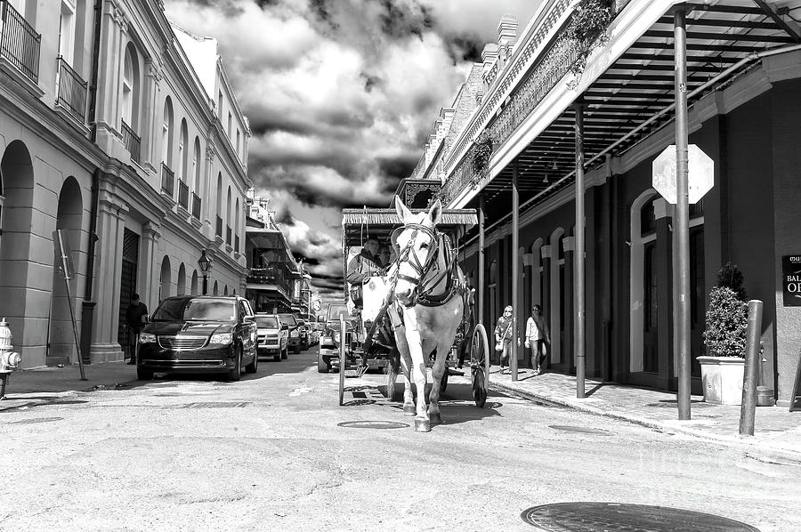 Carriage Ride Through the French Quarter New Orleans Photograph by John Rizzuto