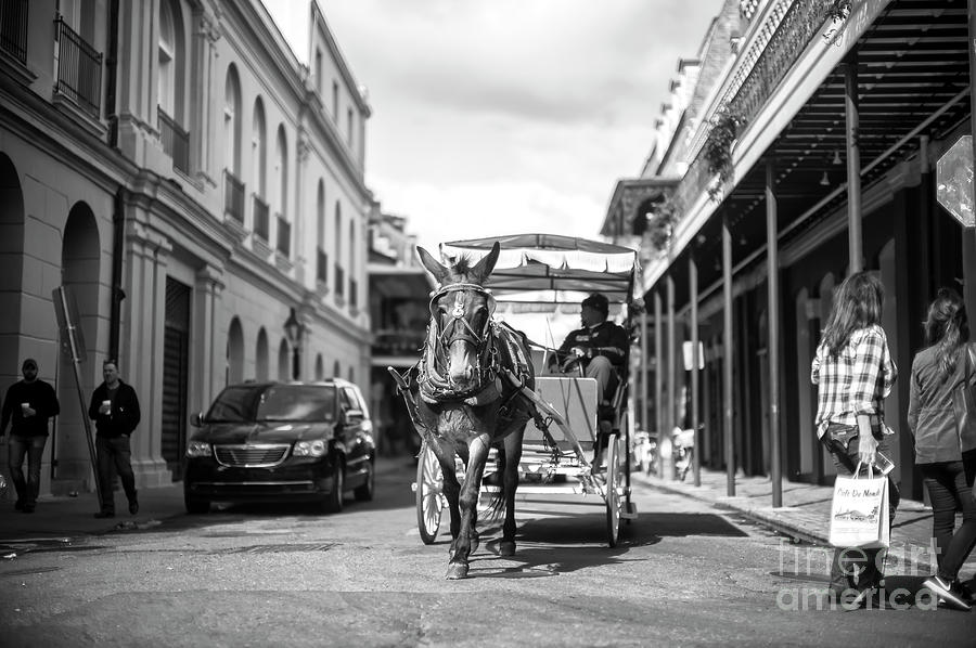 Carriage to Jackson Square New Orleans Photograph by John Rizzuto