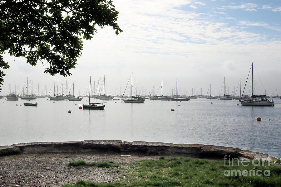 Carrick Roads From Greatwood Quay Photograph