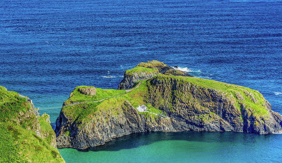 Carrickarede Island, Ireland Photograph by Marcy Wielfaert