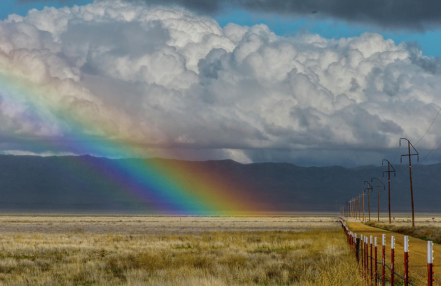 Carrizo Rainbow And Fence Photograph