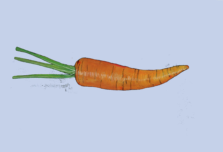 Carrot Painting by Sarah Thompson-engels