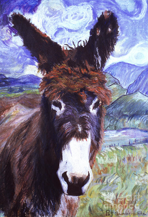 Mountain Painting - Carrot Top by Pat Saunders-White