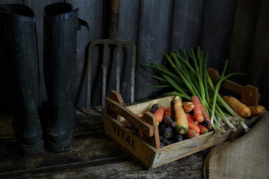 Carrots And Leek In A Vegetable Crate Photograph by Rafael Pranschke