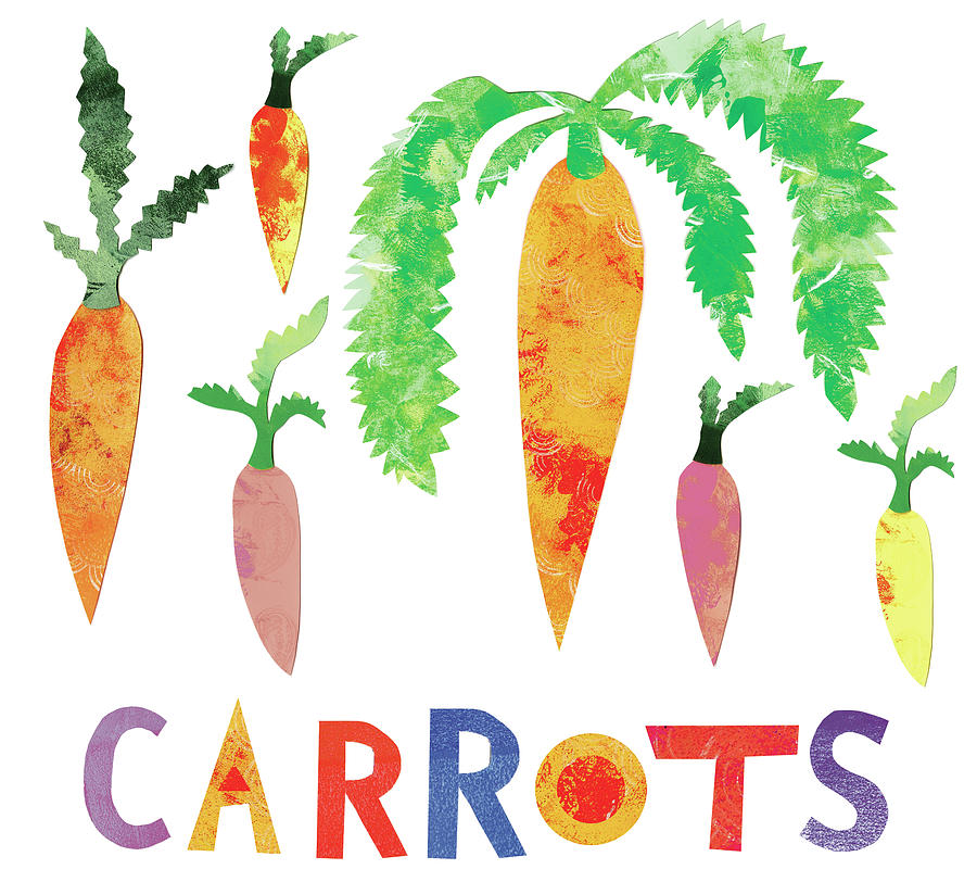 Vegetable Painting - Carrots by Summer Tali Hilty
