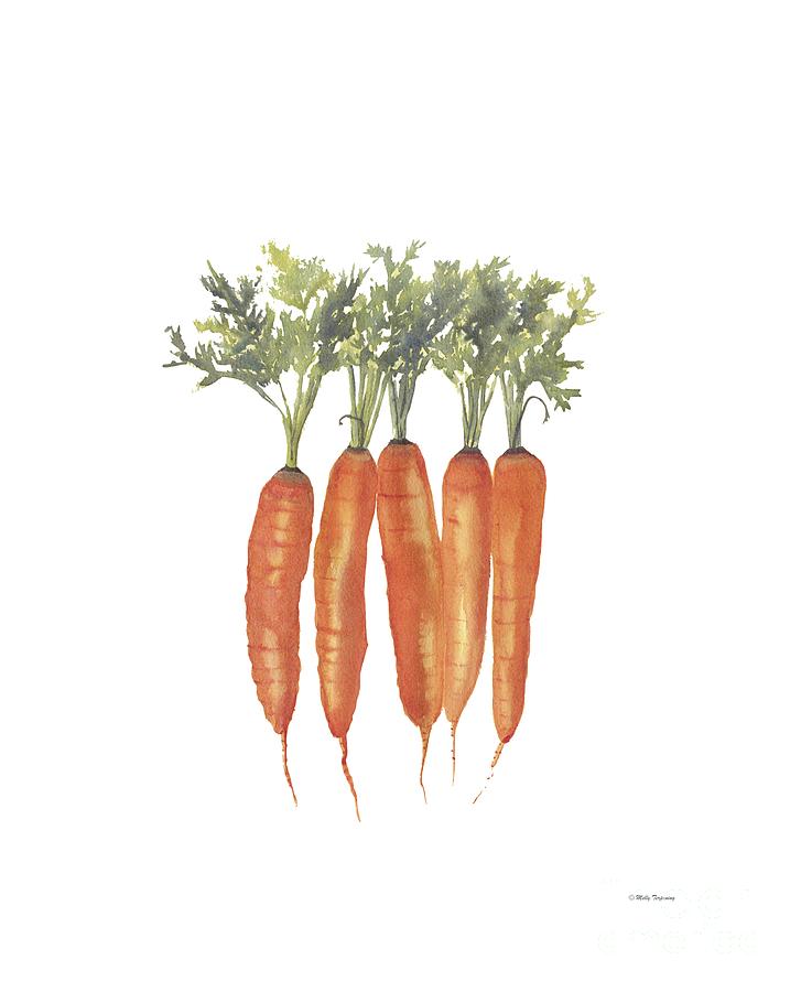 Carrots Watercolor Painting by Melly Terpening