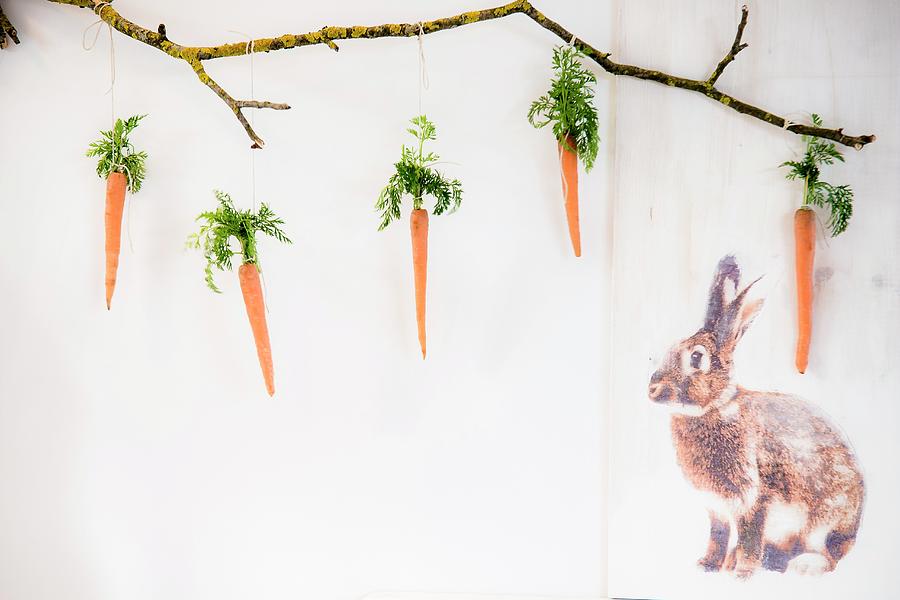 Carrots With Leaves Hung From Branch Next To Printed Picture Of Rabbit Photograph by Bildhbsch