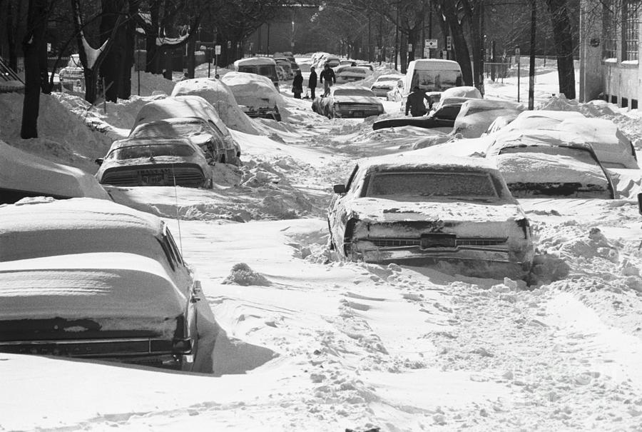 Cars Buried In Snow Following Blizzard Photograph by Bettmann