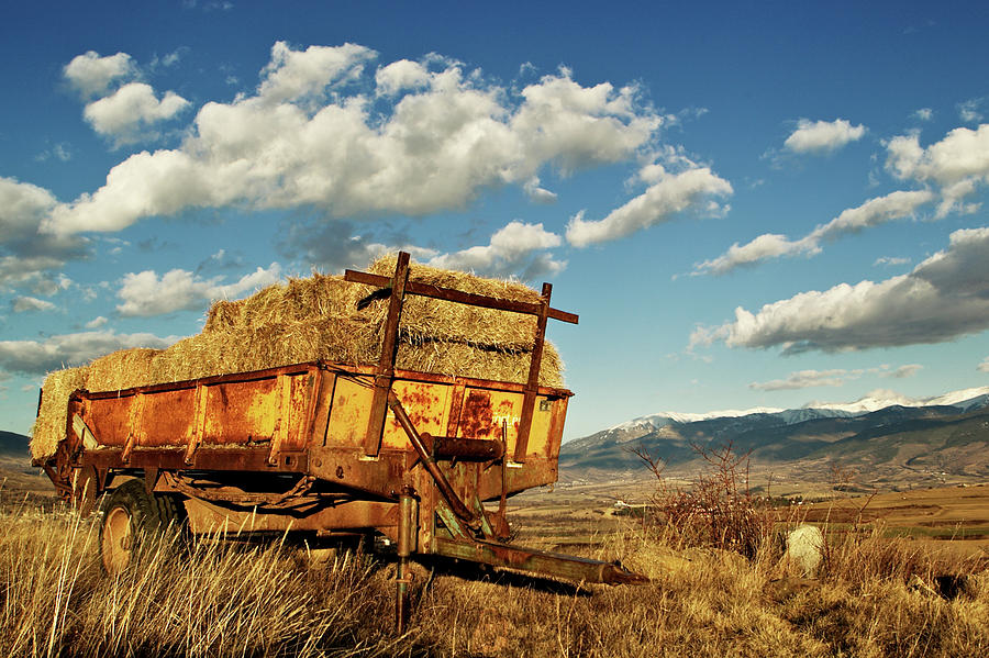 Cart And Straw Photograph by Teo Barker