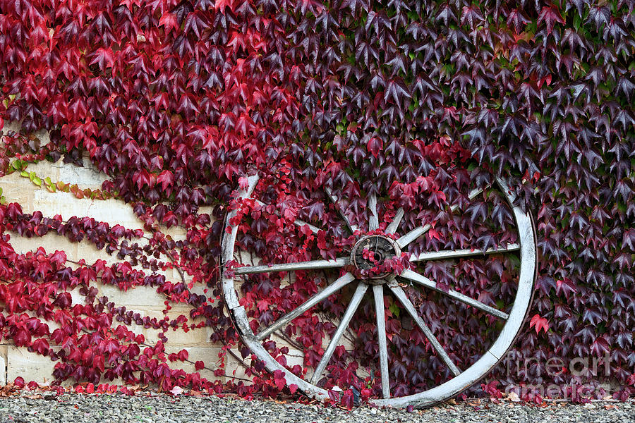 Fall Photograph - Cart Wheel by Tim Gainey