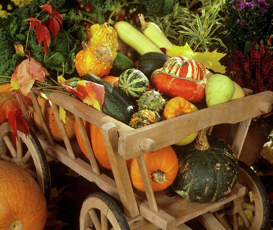 Cart With Pumpkins, Kale And Savoy Cabbage Photograph by Strauss, Friedrich