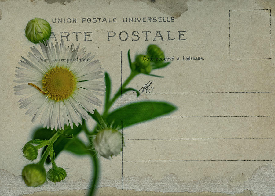 Carte Postale Photograph by Cathy Kovarik Carte Postale Photograph by Cathy Kovarik