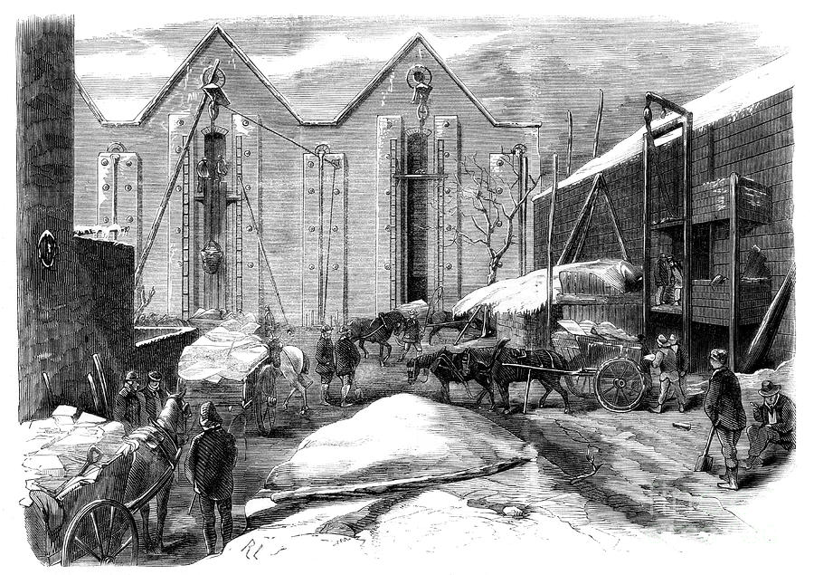 Carting The Ice, 1861 Drawing by Print Collector