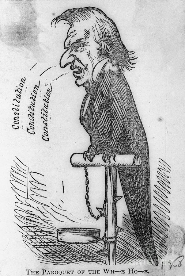 reconstruction political cartoon andrew johnson