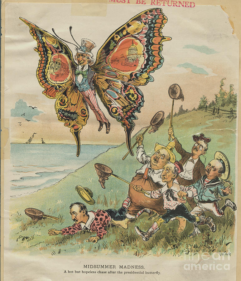 Cartoon Of Politicians Trying To Catch Photograph by Bettmann