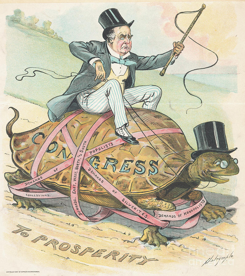 William Mckinley Photograph - Cartoon Of President William Mckinley by Bettmann