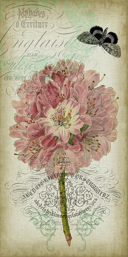 Flower Painting - Cartouche & Floral II by Jennifer Goldberger