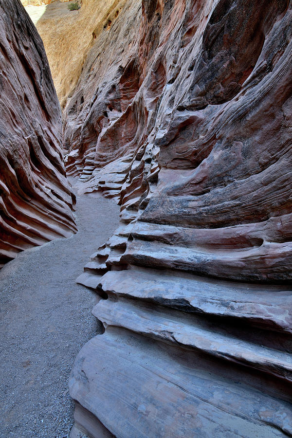 Carved Canyon Walls of Little Wild Horse Slot Photograph by Ray Mathis