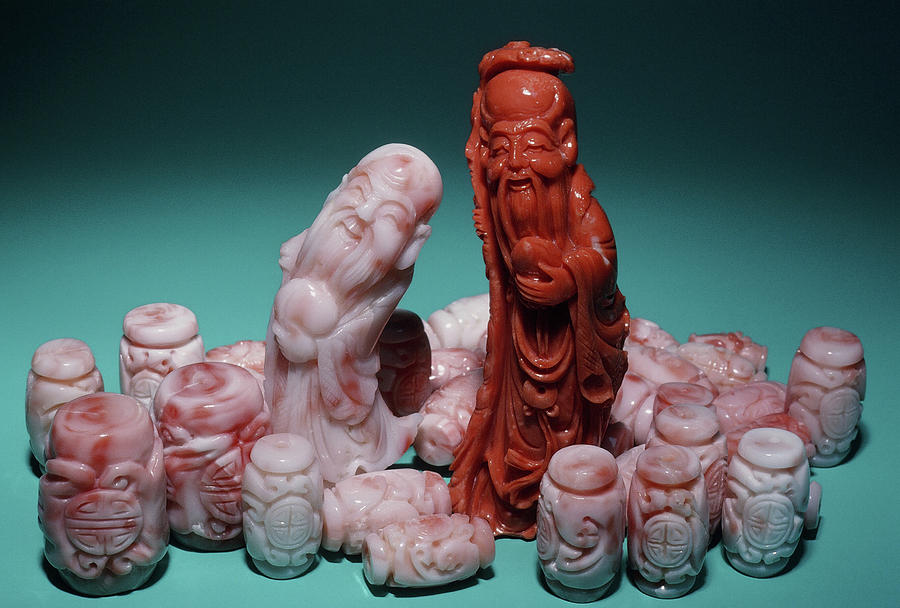Asian Photograph - Carved Coral by Joel E. Arem