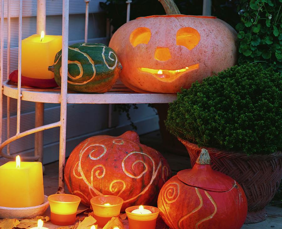 Carved Pumpkins And Gourds For Halloween Photograph by Friedrich Strauss
